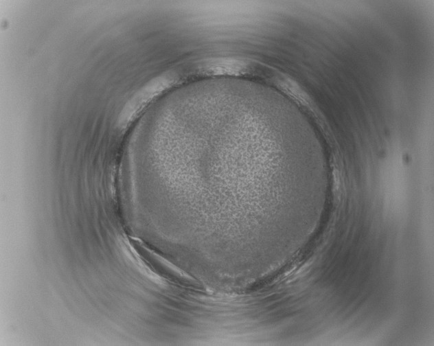 X0000056320537200509092305