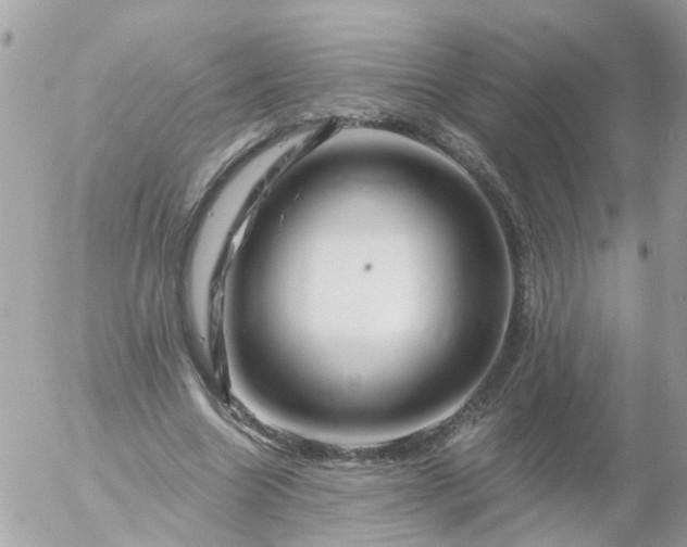 X0000056320538200509092305