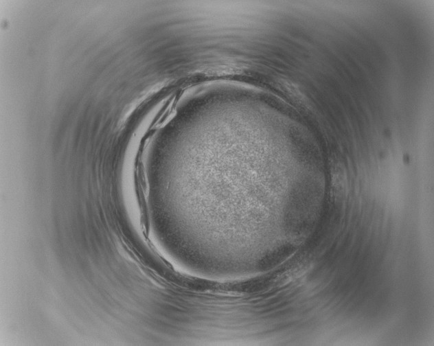 X0000056320539200509092305