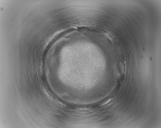 X0000056320540200509092305