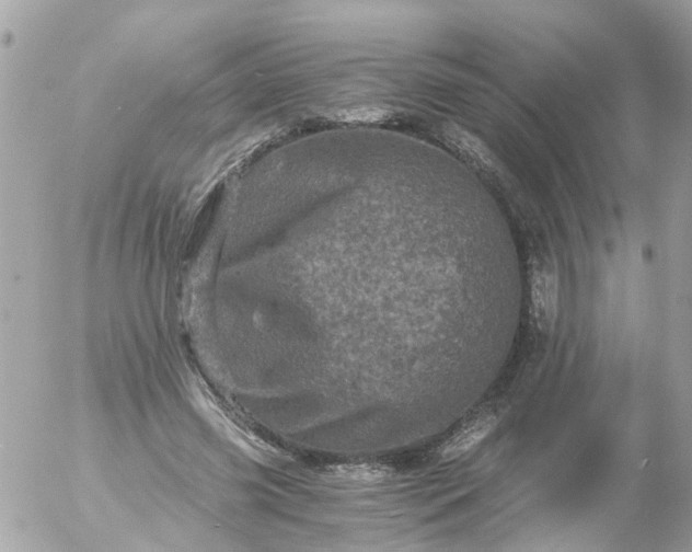 X0000056320541200509092305