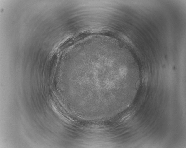 X0000056320542200509092305