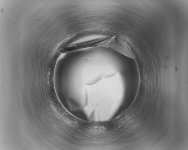 X0000056320543200509092305