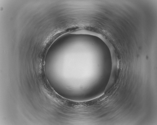 X0000056320544200509092305