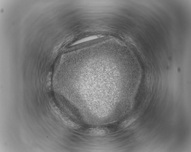 X0000056320545200509092305