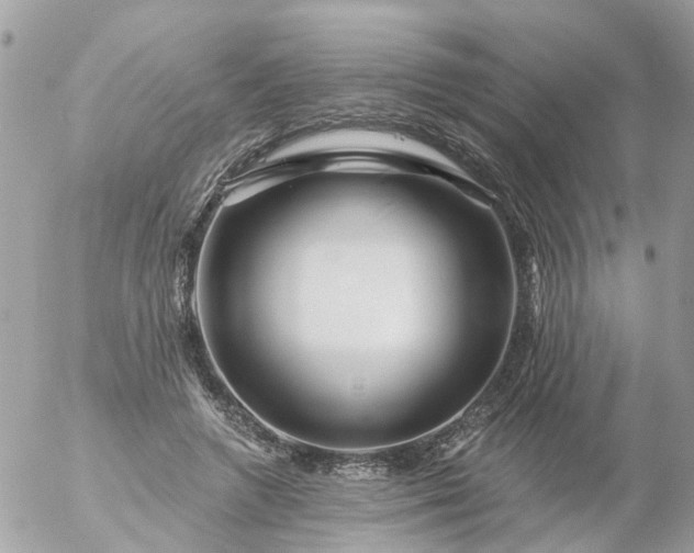 X0000056320546200509092305