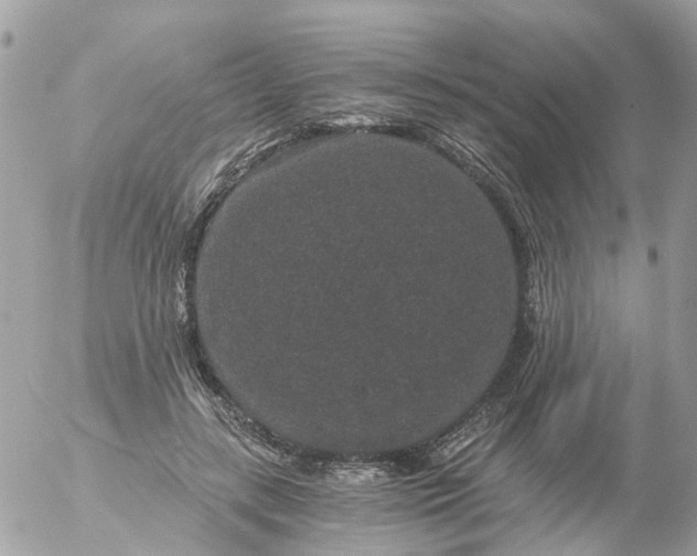 X0000056320547200509092305