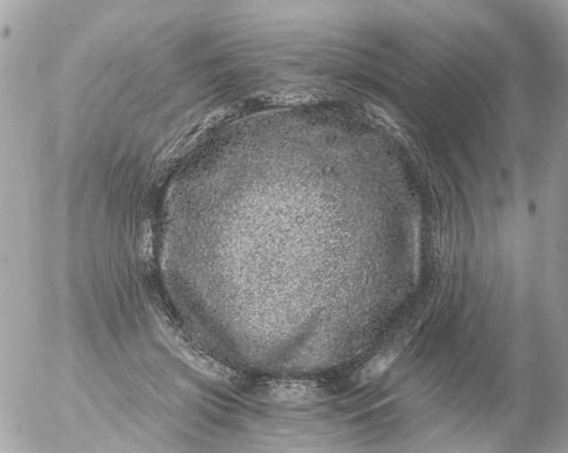 X0000056320549200509092305