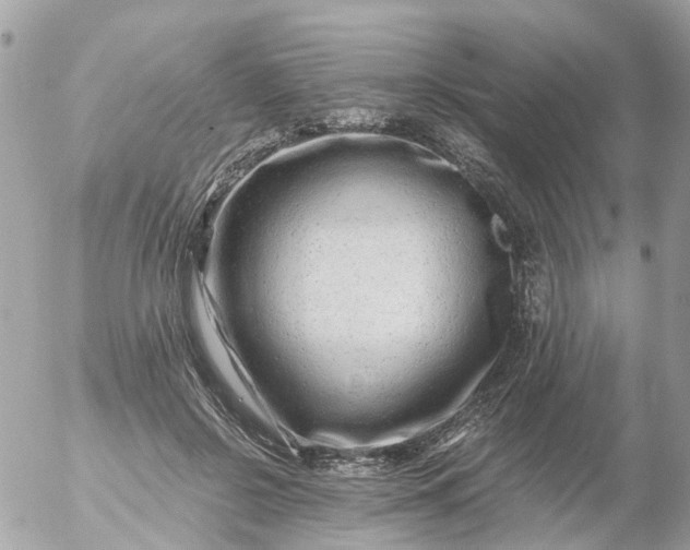 X0000056320550200509092305