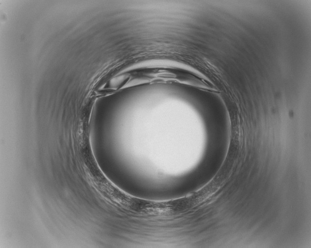 X0000056320552200509092305