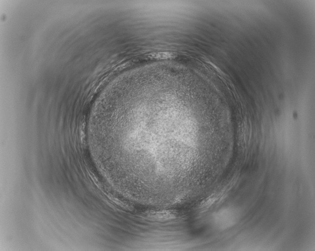 X0000056320553200509092305