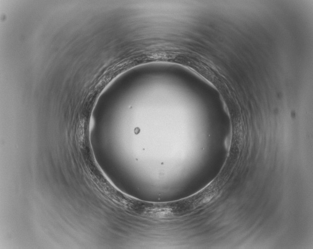 X0000056320554200509092305