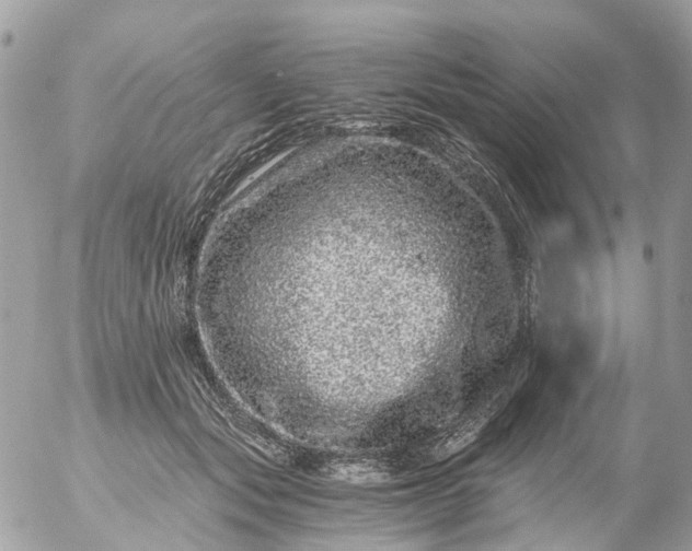 X0000056320557200509092305