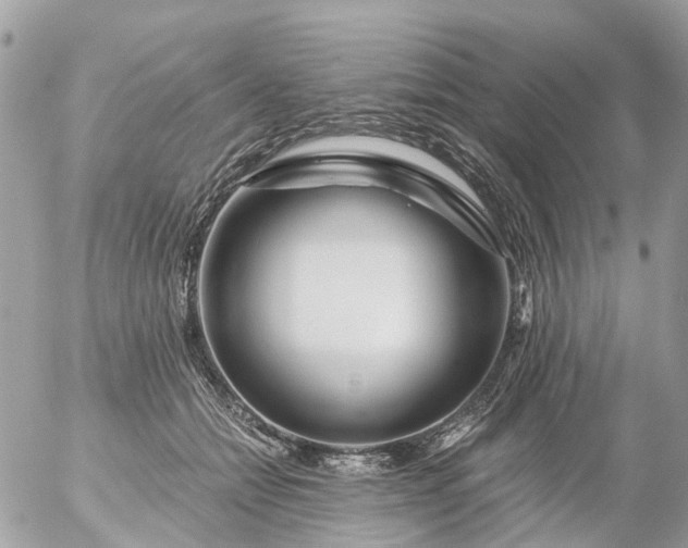 X0000056320558200509092305