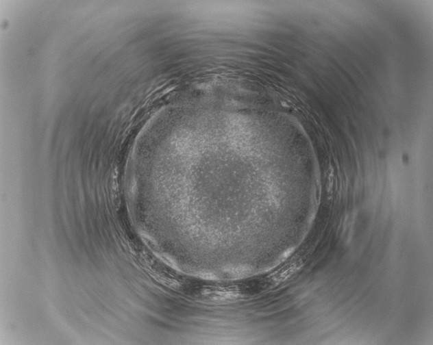 X0000056320559200509092305