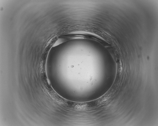 X0000056320560200509092305