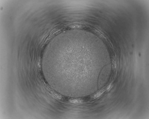 X0000056320561200509092305