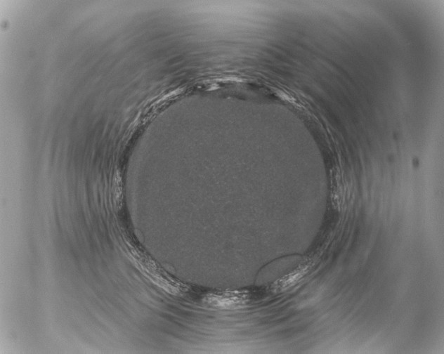 X0000056320563200509092305