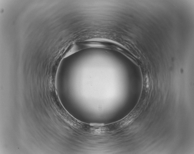 X0000056320564200509092305