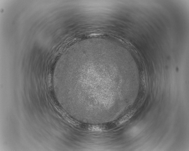 X0000056320565200509092305