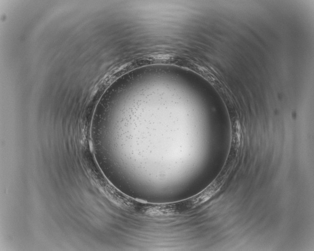 X0000056320568200509092305