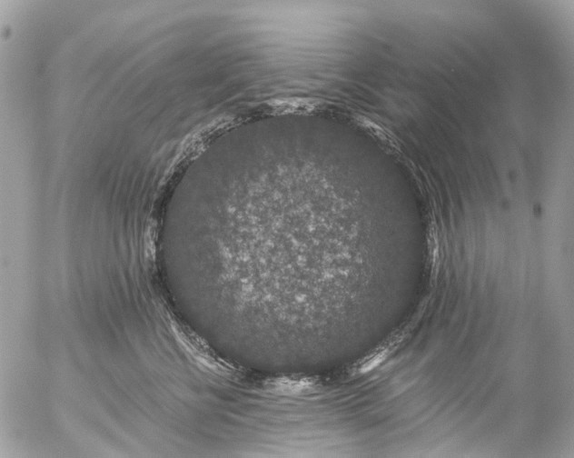 X0000056320570200509092305