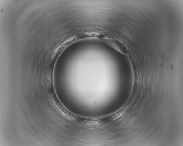 X0000056320572200509092305