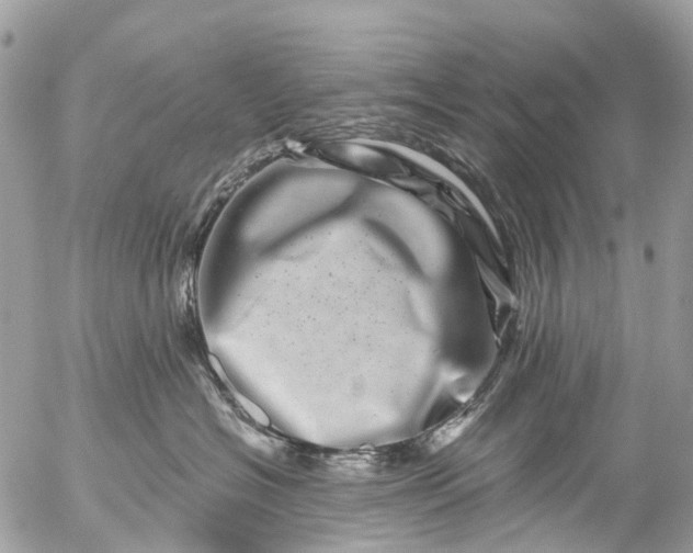 X0000056320574200509092305