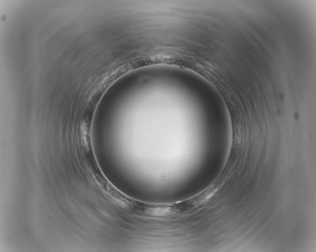 X0000056320575200509092306