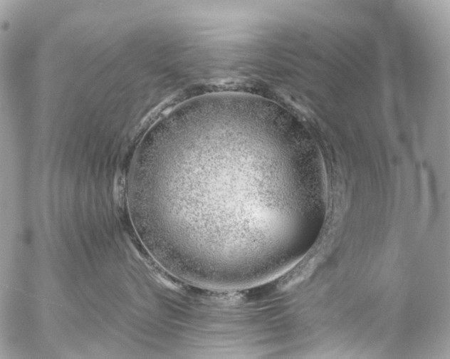 X0000056320576200509092306