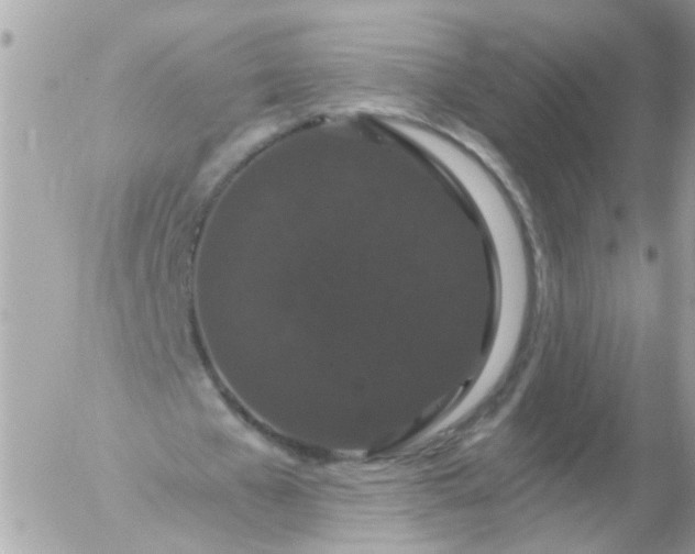 X0000056320577200509092305