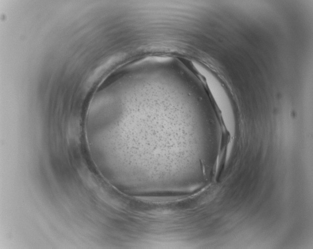 X0000056320578200509092305