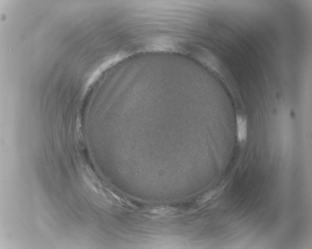 X0000056320579200509092305