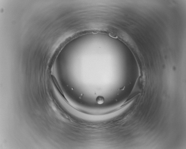 X0000056320580200509092305