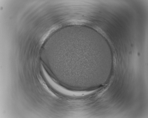 X0000056320581200509092305