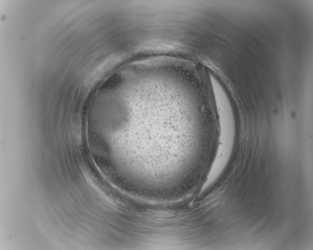 X0000056320582200509092305