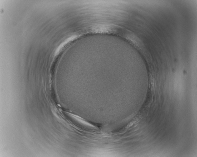 X0000056320583200509092305