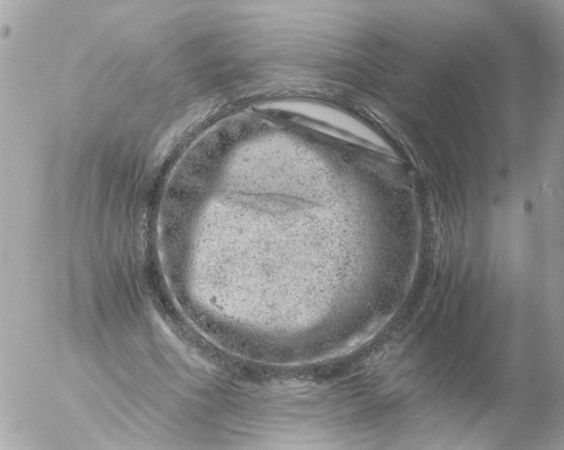 X0000056320586200509092305