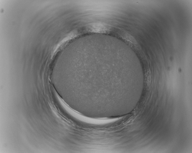 X0000056320587200509092305