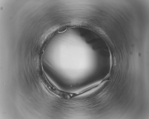 X0000056320588200509092305