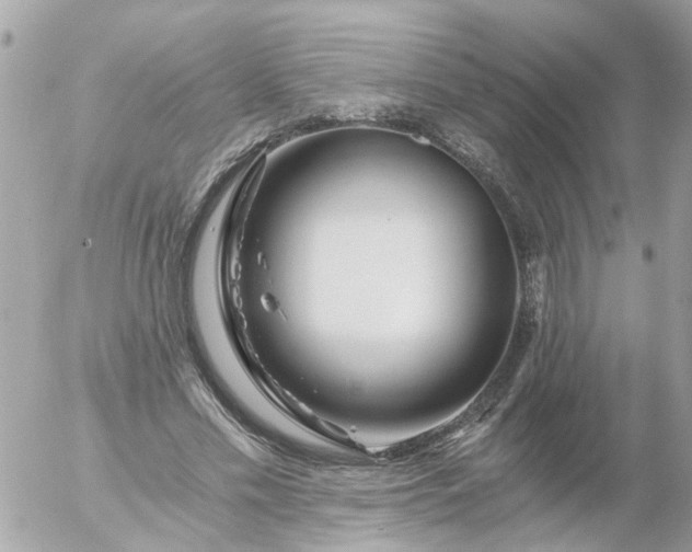 X0000056320589200509092305