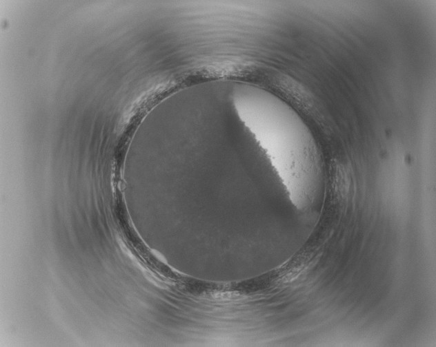 X0000056320590200509092305