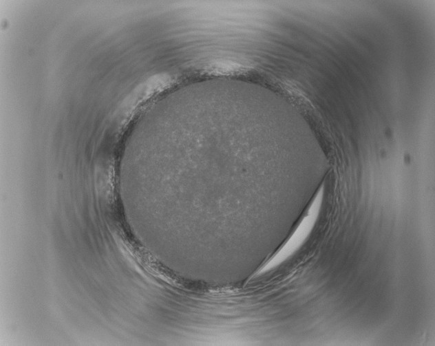 X0000056320591200509092304