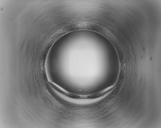 X0000056320593200509092304