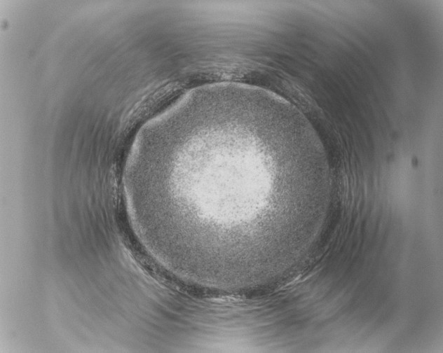 X0000056320594200509092304