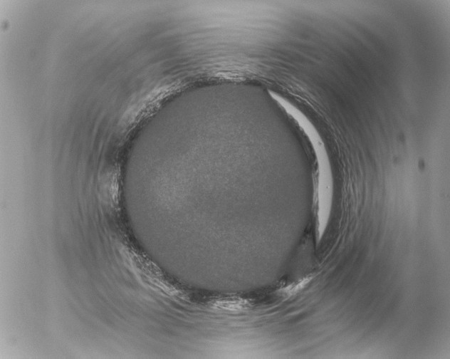 X0000056320595200509092304