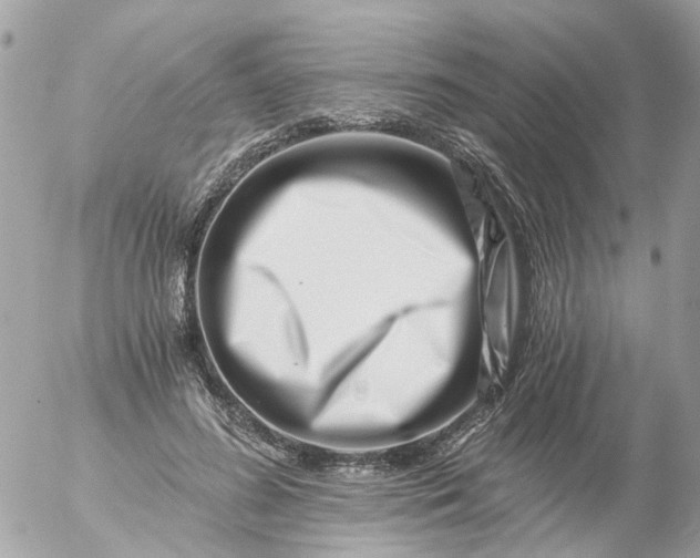 X0000056320596200509092304