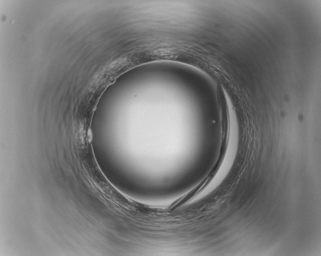 X0000056320597200509092304