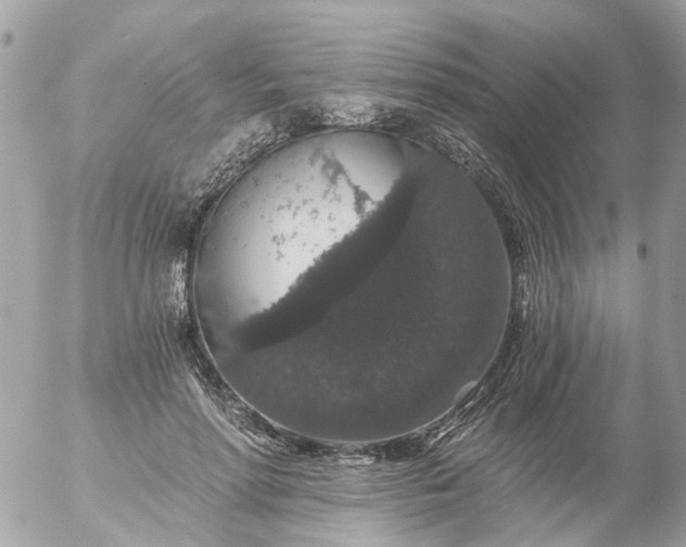 X0000056320598200509092304