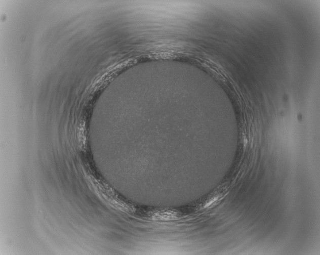 X0000056320599200509092304